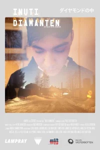  Внутри алмаза 